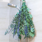 5 Kinds Eucalyptus   Lavender Stems - 17  Natural Fresh Hanging Real Leaves Show