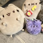Gund Pusheen Plush Lot Assorted Styles Dragon Pip Cupcake Snack Small Lot Of 10 