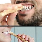 Miswak Siwak Natural Toothbrush Misvak Traditional Arak Miswaak Manual Teeth Whi