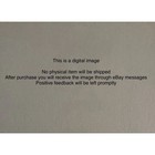 Digital Image Autumn Forest Sunrise Digital Art Print   Misty Fall Trees Sunset