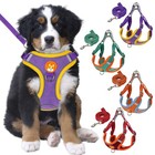 Dog Pet Puppy Mesh Harness Vest Collar Breathable Soft Strap Leash Reflective Us