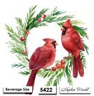  5422  Two Paper Beverage   Cocktail Decoupage Art Craft Napkins  Cardinal Birds