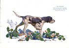 C1950 Vintage Pointer Print Wall Art Decor Ken Harrow Pointer Art Print 6083w