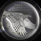 2017 1 Oz Silver Medal     Lady Liberty     High Relief Capsule Coin Only W   trusted   