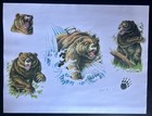 Tattoo Flash - Pjw - 29 Total Vintage Color Sheets