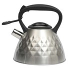 Mr  Coffee Stovetop Kettle  Stainless Steel Silver  15 00x15 00x10 00 Inches