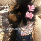 Puppy Bows   Glitter Party Puffs Dog Grooming Bows