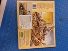 Vintage Safari Ltd Brachiosaurus Wooden Skeleton Kit No 310 Museum Series Model