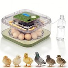 Fully Automatic 12 Egg Incubator Temperature Control Digital Chicken Egg Hatcher
