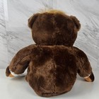 Donald Trump Teddy Bear Plush With American Flag 2017 Trumpy Bear Deluxe 22    Nwt