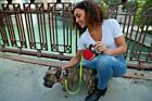 Smartleash   -the Only Automatically Braking Retractable Leash- New-free Shipping
