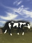 Ooak Breyer Cm Custom Stablemate Horse Cassidy X D  Williams   Beautiful Overo 