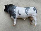 Breyer Horse Collector Club Web Sr  10199 Earl Blue Roan Pinto Charolais Bull