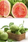Pink Guava Seeds Easy Fruit Garden Fresh Grow Tx Usa Free Shipping Organic