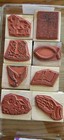 Stampin Up  Inspirational Images Set Of 8 Wooden Stamps Used