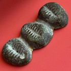 Chinese 3 Cowrie Shell Coin  Zhou Dynasty 1046-256 Bc  Old Imitation Piece china