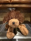 Webkinz Brown Shaggy Dog W 2 Code Tags Sealed Plush W strings Fray Virtual - New