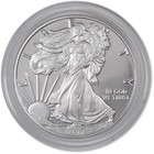 2017 W American Silver Eagle Choice Proof Bullion  1 Coin Ogp Coa