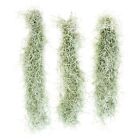 Colombian Thick Spanish Moss Strands With Wire Hook - Indoor outdoor Plant Decor
