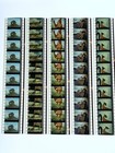Original The Jungle Book 35mm Film Cells Walt Disney Animation Movie Collectable