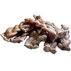 6  Inch Braided  Bully Sticks All Natural Dog Treats Chews For Dogs   5 Sticks  