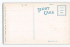Glacier National Park Montana Mt Postcard 1915-1930 Going-to-the-sun Chalets