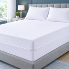 Zippered Encasement Mattress Protector Waterproof Bed Bug Mattress Protector