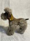 Vintage Steiff 6    Grey Mohair  snobby  Poodle 1959-1963 Both Tags