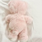 Princess Soft Toys Teddy Bear Light Pink Plush Stuffed