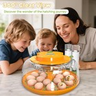 18 Egg Incubators For Hatching Eggs  Egg Incubator Incubator With Automatic Turn