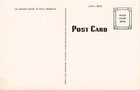 Native American Indian Chief In Full Regalia Vintage Postcard
