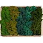 Preserved Reindeer Mix Craft Moss Natural Green Diy Kit Gardenning Art Wall D   