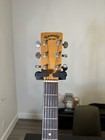 Takamine Acoustic Guitar Vintage Lawsuit Model