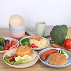 Wheat Straw Plates eco-friendly dishwasher   Microwave Safe 4 6 Pack Multi-color