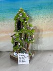 Mermaid House  Beach Fairy House  Ocean Fairy