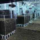 Acrylic Shrimp Fish Tank Filter System Aquarium Box Under Gravel Filter Box New