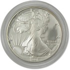 1991 S American Silver Eagle Choice Proof Bullion  1 Coin Ogp Coa