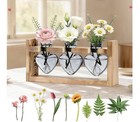 3 Heart-shaped Clear Glass Bud Vase Plant Terrarium With Wooden Stand