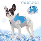 Dog Supplies Pet Dog Cat Coolig Vest Harness Breathable Summer Cooling Jacket