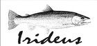 Irideus 5 Wt  Pro Distance 100 Floating Fly Fishing Line Steelhead Salmon Trout