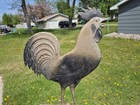 Antique Original Robbins Cast Metal Rooster Chicken Weathervane Arrow Farm Decor
