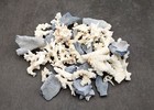 Small Coral Pieces Blue White Brown Mix Assorted Approx  1 Pound 0 5-1 5  Inches