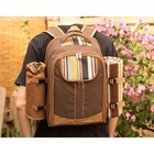 Apollo Walker Brown Striped Insulated 2-person Picnic Backpack Os