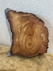 Ancient Old Growth Juniper Fatwood Slab - Concentric Teardrop Live Edge Art