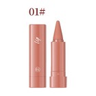 Carmine Gradient Lipstick Crayon Lip Liner Pencil  Gradual Effect Lip Pencil 