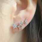 925 Silver Filled Gold Plated Stud Earring Cute Women Cubic Zircon Jewelry