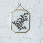 Ncyp Double Glass Floating Frame For Pressed Dried Flowers  Plant Specimen  P   