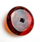 Vintage Large Imitation Tortoise Bakelite Button Ome Metal High Relief Crown Vtg