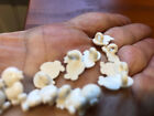 Vintage White Baby Chick Buttons Lot Of 12