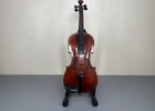 Antonius Stradivarius Cremonensis Violin  Used Condition